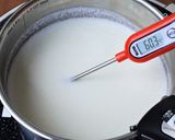 簡単！自家製ヨーグルトでリコッタチーズ作り方1写真