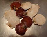ホタテ稚貝とキャベツの蒸し煮作り方1写真