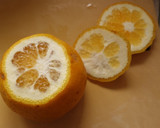 包丁を使った甘夏や柑橘類の剥き方作り方1写真