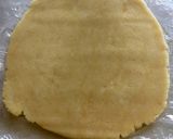 表情いろいろ★オカメインコのクッキー作り方5写真