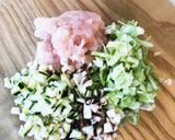 犬ごはん 鶏胸ミンチと野菜の餃子作り方2写真