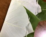 朴葉寿司♪作り方6写真