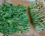 豆苗のゴママヨサラダ作り方1写真