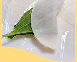 ☆手作り餃子紫蘇巻き☆作り方3写真