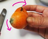 びわのむきかた作り方4写真