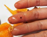 びわのむきかた作り方11写真