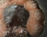 赤ワインでちょっぴりオシャレな鶏モツ煮作り方6写真