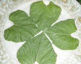 幸福を呼ぶかもしれない＾＾♪大きな餃子♪作り方2写真