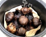 高井式黒ニンニク作り方18写真