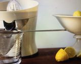 胡瓜レモネード作り方7写真