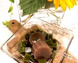 抹茶ゼリーと水羊羹作り方11写真