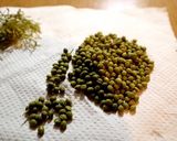 【作り置き】実山椒の醤油漬け作り方4写真