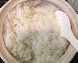 ゆかり御飯の御握りで実験作り方1写真
