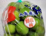 麦焼酎の元祖？！壱岐っ娘で梅酒つくろう作り方1写真