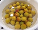 梅干し 塩漬け〜白梅干し作り方2写真