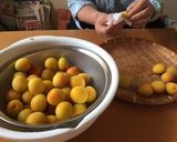 梅干し 塩漬け〜白梅干し作り方3写真