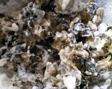 野沢菜天ぷら作り方4写真