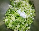 発酵玉ねぎ入り米粉餃子♪作り方1写真