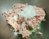 発酵玉ねぎ入り米粉餃子♪作り方3写真