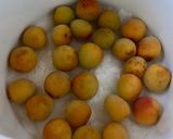 梅干し 塩漬け〜白梅干し作り方10写真