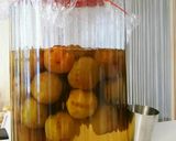親子で乾杯♪梅シロップ作り方8写真