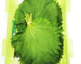 長持ち新鮮な大葉保存方法作り方3写真