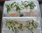 野菜たっぷり♪おからチキンナゲット作り方3写真