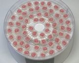 簡単おいしい☆乾燥海鮮たっぷりの皿うどん作り方10写真