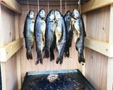 ニジマス燻製作り方6写真