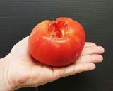 簡単！トマトとキャベツのダイエットおかゆ作り方2写真