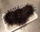 ウニの剥き方作り方1写真