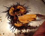 ウニの剥き方作り方9写真