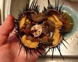 ウニの剥き方作り方8写真