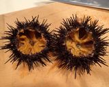 ウニの剥き方作り方7写真