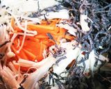 塩こんぶとシーチキンの炊き込みご飯作り方2写真