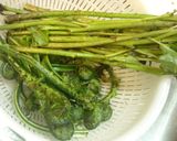 ✿春の味♪青こごみ＆あいこの天ぷら✿作り方1写真
