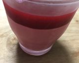 【余り物消費】マンゴー缶詰のミニムース作り方14写真