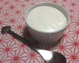 【余り物消費】マンゴー缶詰のミニムース作り方12写真