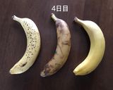 黒くならない夏のバナナ保存法作り方2写真