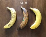 黒くならない夏のバナナ保存法作り方3写真