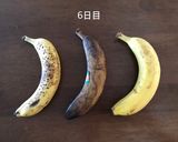 黒くならない夏のバナナ保存法作り方4写真