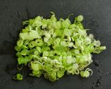 炊き込みわかめでマグカップ中華スープ☆作り方1写真