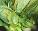 チンゲンサイのお浸し 甜麺醤で作り方3写真