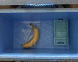 黒くならない夏のバナナ保存法作り方5写真