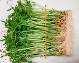 【レンジで簡単♪】豆苗の豚バラ巻き作り方2写真