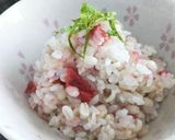 免疫力UP!!みょうがとしょうがの酢漬け作り方14写真