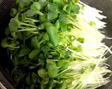貝割れ大根のお浸し 大量消費！作り方1写真