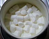№6 変身!ぷるぷるマシュマロ作り方3写真