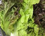 包丁不要☆肉巻きサニーレタス作り方1写真