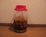 梅シロップ作り方4写真